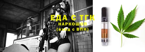 индика Надым