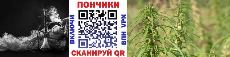 цены   Поворино  Бошки марихуана OG Kush 
